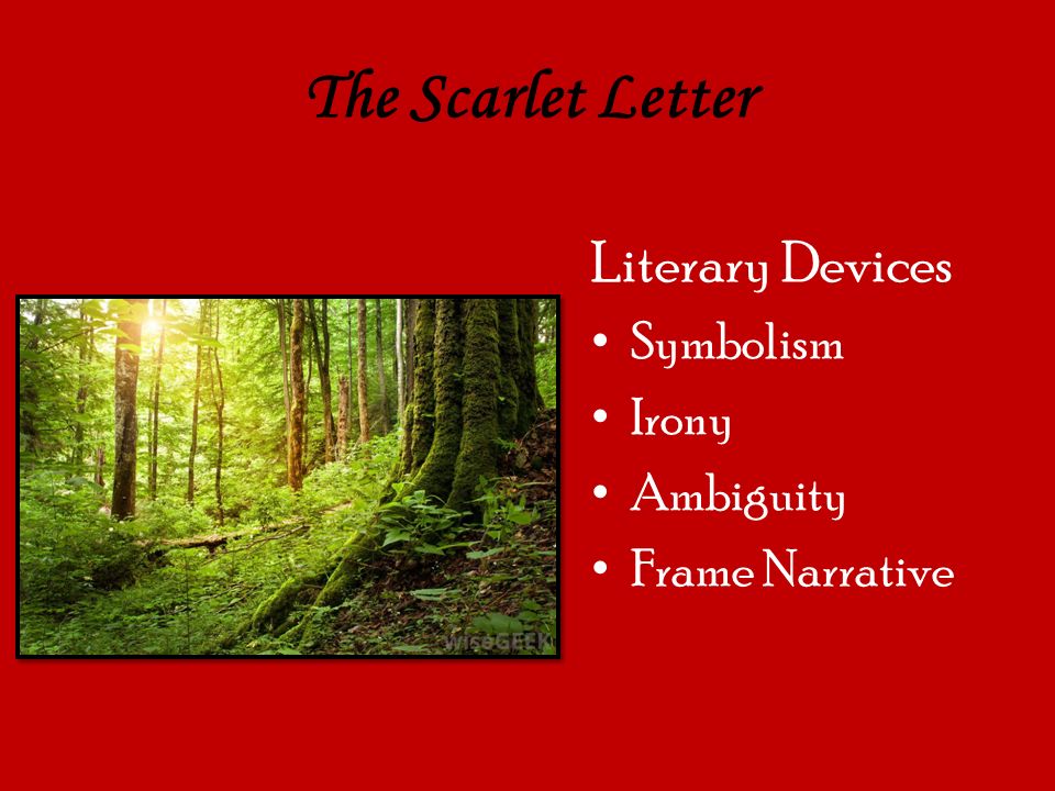 An analysis of ambiguity in the scarlet letter